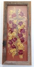 Botanical real dried for sale  Essex