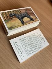 1936 gallaher dogs for sale  HARROGATE
