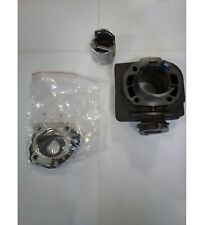 Zylinder Kit Motoforce Ersatz 50ccm Pegasus Corona R50X Sky Express i II 50 gebraucht kaufen  Uetze