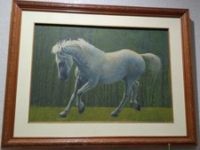Original white horse for sale  Hialeah