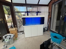 Juwel rio 240 for sale  STOKE-ON-TRENT