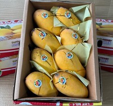 Pakistani mango large for sale  BRADFORD