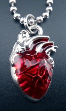 Heart necklace stainless for sale  Washington
