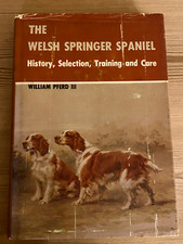Rare welsh springer for sale  WARRINGTON