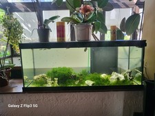 Aquarium komplettset zubehör gebraucht kaufen  Heidelberg