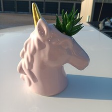 Faux succulent tall for sale  Sedalia
