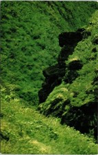 Jfk black gorge for sale  Sparta