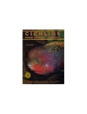 Cichlids central america for sale  UK