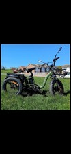Jorvik electric mountain for sale  SHEERNESS