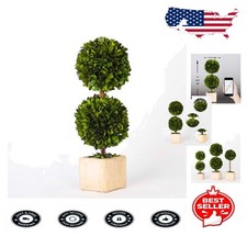 Elegant preserved boxwood for sale  Dublin