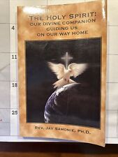 The Holy Spirit: Our Divine Companion Guiding US - Jay Samonie - 2005 - 218 pgs comprar usado  Enviando para Brazil