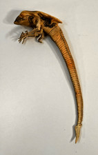 Alien resurrection queen for sale  Raleigh