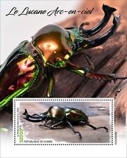 2024 guinea rainbow d'occasion  Brunoy
