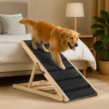 Extra wide dog for sale  SALFORD