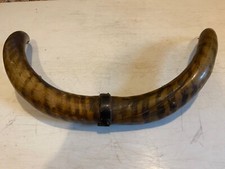 Steer cow bull for sale  FERNDOWN
