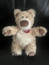 Trudi 15602 orso usato  Parma