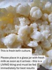 Kefir culture for sale  Goochland