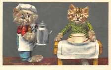 Mainzer dressed cats for sale  USA