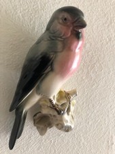 Bullfinch bird wall for sale  BALLYMENA