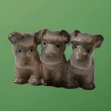 Schnauzer terrier puppies for sale  Ben Lomond