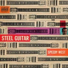 Steel Guitar comprar usado  Enviando para Brazil