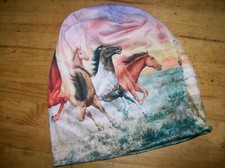Horse lovers wild for sale  South Lake Tahoe