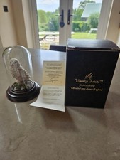 Country artist snowy for sale  STAFFORD