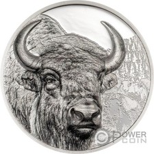 Bison wild mongolia usato  Ciampino