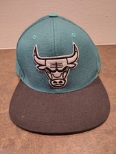 Chicago bulls kiwi for sale  Safety Harbor