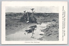 Cartão postal Dartmoor cranmere piscina caixa de correio visão antecipada Western Daily Mercury anúncio, usado comprar usado  Enviando para Brazil