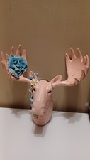 Moose head wall for sale  Thornton