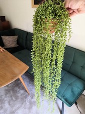 Artificial potted trailing for sale  HINDHEAD