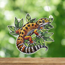 Leopard gecko custom for sale  Corpus Christi