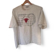 Camiseta 1995 Chicago Bulls NBA GG, usado comprar usado  Enviando para Brazil