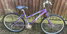 Ladies frame bicycle. for sale  OXFORD