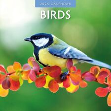 Birds 2025 square for sale  SWINDON
