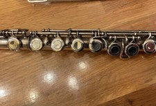 Querflöte flute alpine gebraucht kaufen  Hummeltal