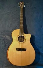 Washburn wg20sce electro for sale  COVENTRY