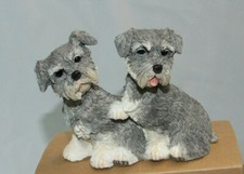 Hund schnauzer schnauzer gebraucht kaufen  Deutschland