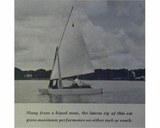 Hobie cat type for sale  Diamond Point