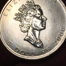 Canada dollari 2000 usato  San Bonifacio