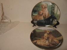 Labrador dog plates for sale  WELLINGBOROUGH