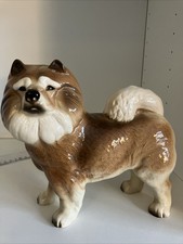 chow chow dog for sale chow chow dog for sale BIRMINGHAM