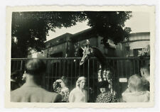 Snapshot the giraffes d'occasion  Toulouse-