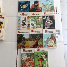 Volumi piccole guide usato  Volvera