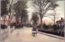 Salop 1905 creamore for sale  NORWICH
