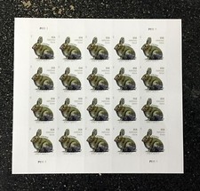 2021usa 5544 additional for sale  Brandon