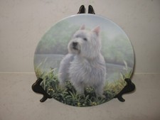 Westie dog plate for sale  WELLINGBOROUGH