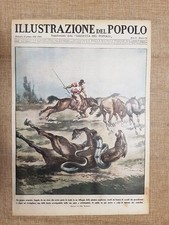 Copertina illustrazione del usato  Villarosa