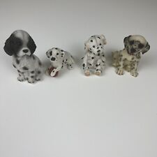 Dalmatian cocker spaniel for sale  Statesboro